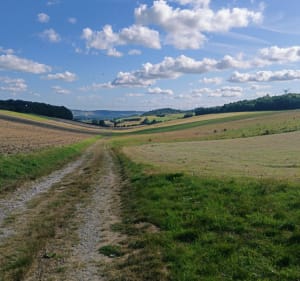 La belle campagne Liquoise - Herbinghen - 2