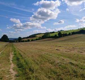 La belle campagne Liquoise - Herbinghen - 3