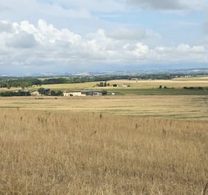 A la découverte de la campagne peyrolaise - Christel - 3