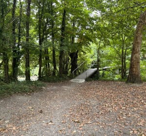 Chemin des promeneurs - Julien - 3