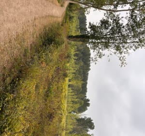 Chemin des promeneurs - Saint-Jean-d'Angély - 3