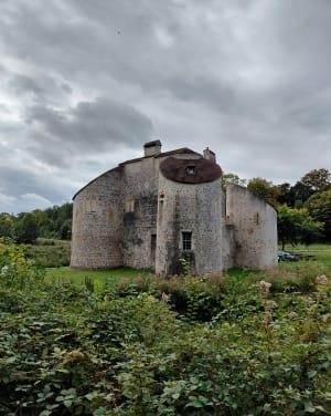 Faisan doré, le nid d'aigle via le château de la Chasse - NAtacha - 4