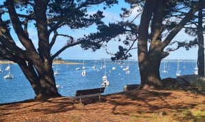 Bois du Porzou et Kerancalvez - Concarneau - 7