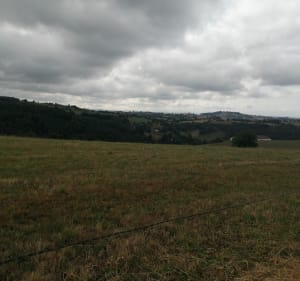 Montchal au départ de Sainte-Agathe-en-Donzy - Sainte-Agathe-en-Donzy - 2