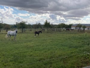 Vite, prendre le temps de se faire plaisir à Crèvecœur-en-Auge ! - Elisabeth  - 3