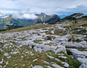 Rando à la dent de Crolles depuis le col du Coq et vue d'exception sur Grenoble - Saint-Pancrasse, Plateau-des-Petites-Roches - 4