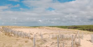 Réserve de la Maillouèyre : dunes, forêts et vues sur la mer - Sabine - 9