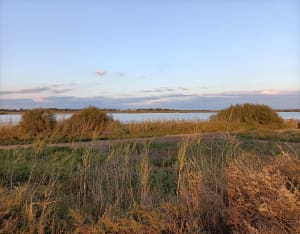 Etang de la Maïre - Sérignan - 6