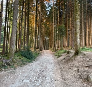 Parcours santé de Larringes - Larringes - 2