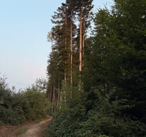 Parcours santé de Larringes - Larringes - 5