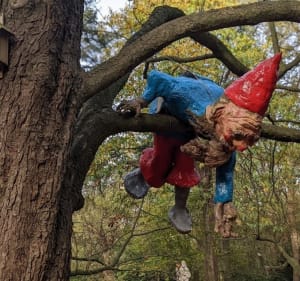 Uurtje wandelen door het groen van Venray - Venray - 3