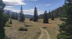 Prairie De Darbounouse - Saint-Martin-en-Vercors - 6