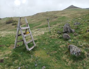 Belle balade au Puy Violent - Saint-Paul-de-Salers - 17