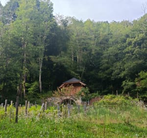 Tour de Feternes depuis les Thiezes - Féternes - 2