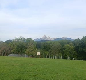 Tour de Feternes depuis les Thiezes - Féternes - 3