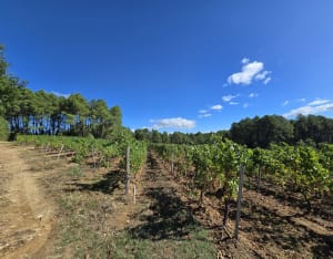 Tour du chapeau de gendarme - Laurac-en-Vivarais - 9