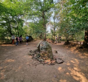 Balade en forêt de Brocéliande - Paimpont - 2