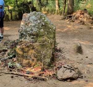 Balade en forêt de Brocéliande - Paimpont - 3