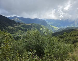 De Treu-lus tussen de Mont Blanc en de Aravis - Saint-Nicolas-la-Chapelle - 3