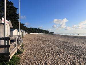 Sacré potentiel patrimonial et naturel à Noirmoutier - Noirmoutier-en-l'Île - 8