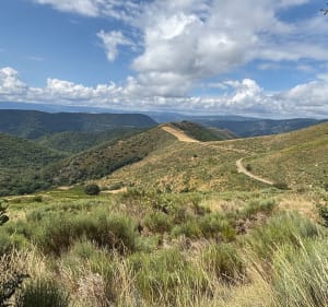 Col de la Croix de la femme morte - Loubaresse - Sablières - 3