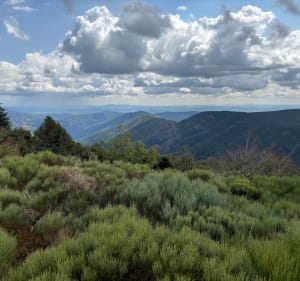 Col de la Croix de la femme morte - Loubaresse - Sablières - 4