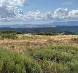 Col de la Croix de la femme morte - Loubaresse - Sablières - 5
