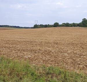 Petite balade entre Favières et Saulxerotte - Favières - 5