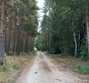Entre Fournels et Arzenc-d’Apcher - Marie - 5