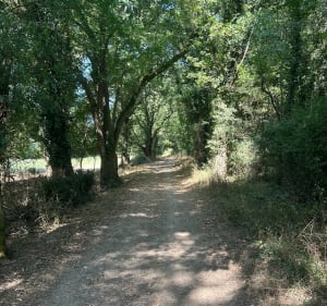 Boucle du pont barré à Val-du-Layon - Val-du-Layon - 3