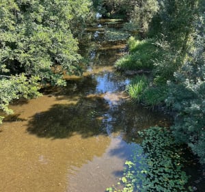 Boucle du pont barré à Val-du-Layon - Val-du-Layon - 5