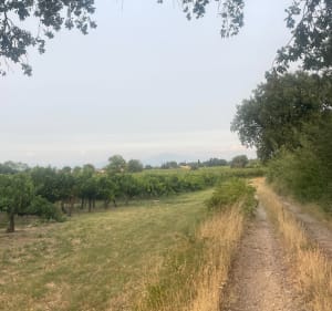 Marche du soir autour de Saint-Victor-la-Coste - Saint-Victor-la-Coste - 2