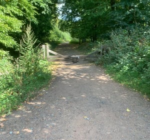 Ostricourt et sa forêt - Ostricourt - 2