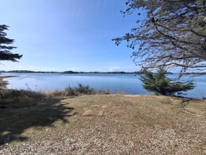 Ile aux moines - Pointe du Nioul - Île-aux-Moines - 4