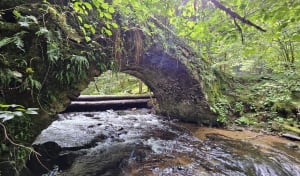 Boucle de la cascade de la Doue de l'Eau et du Saut de l'Ognon - Servance-Miellin - 3