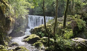 Boucle de la cascade de la Doue de l'Eau et du Saut de l'Ognon - Servance-Miellin - 6