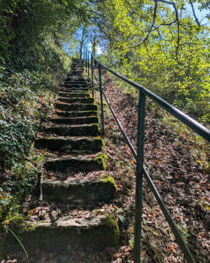 Tour de Vaux à Ambutrix - Vaux-en-Bugey - 4
