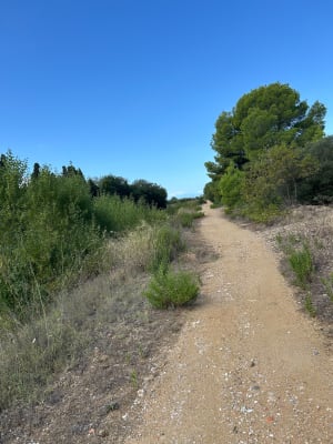 CABESTANY Boucle campagne pour tous, 4h de marche au soleil - Perpignan - 7