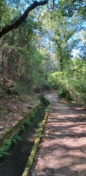 Carcès et les Chutes du Caramy - Carcès - 3