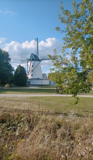 Autour de Wervicq-Sud - Wervicq-Sud - 4
