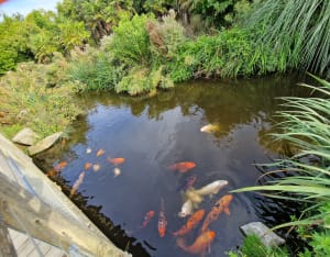 La Ria et Canal Val St Martin - Pornic - 2