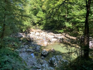 Balade rafraîchissante des Gorges du Guier Mort - Audrey - 7