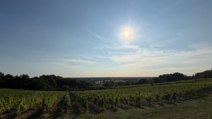 Île Raymond, Paillet, Lestiac - christian - 5