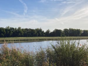 Balade entre bords de Marne et châteaux - C - 10