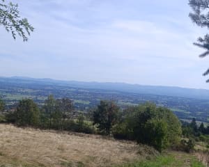Les pierres St-Martin - Saint-Haon-le-Vieux - 6
