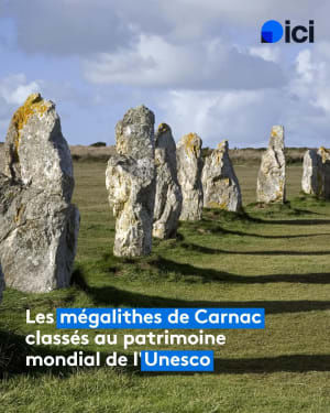 Balade a l'ombre à Carnac - Anne marie - 5