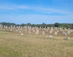 Balade a l'ombre à Carnac - Anne marie - 7