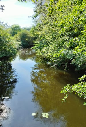 Autour du moulin de la rivière et du pêcheur - Adeline - 9