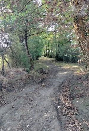 Autour du moulin de la rivière et du pêcheur - Adeline - 10