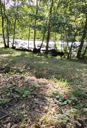 Autour du moulin de la rivière et du pêcheur - Adeline - 11
